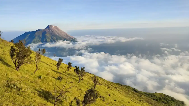 rekomendasi realcdr, tips realcdr, lokasi realcdr, fasilitas realcdr, program realcdr